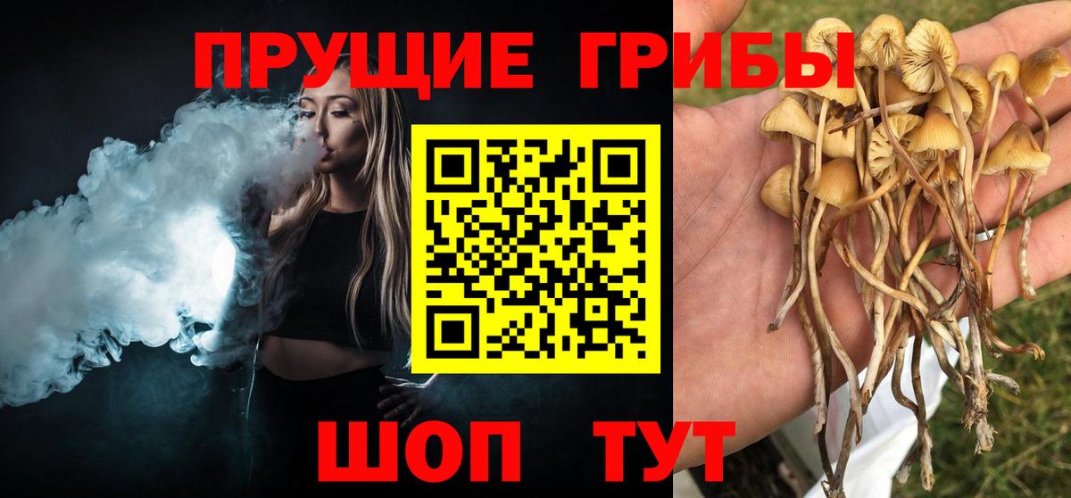 Новый Уренгой  Галлюциногенные грибы мухоморы  Вход с VPN 